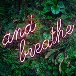 max-van-den-oetelaar-buymYm3RQ3U-unsplash